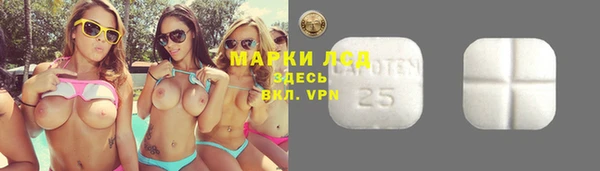 ГАЛЛЮЦИНОГЕННЫЕ ГРИБЫ Алексеевка