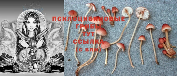 кокаин колумбия Алзамай
