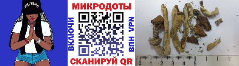 Псилоцибиновые грибы Magic Shrooms  блэк спрут зеркало  Алупка 